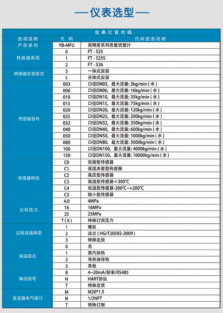 質量流量計選項表