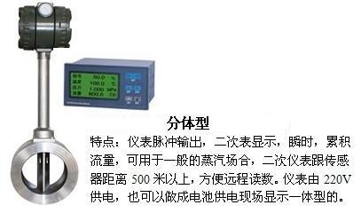 壓縮氣體流量表分體型產品圖