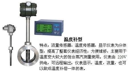 壓縮氣體流量表溫度補償型產品圖